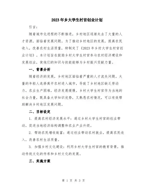 2023年乡大学生村官创业计划
