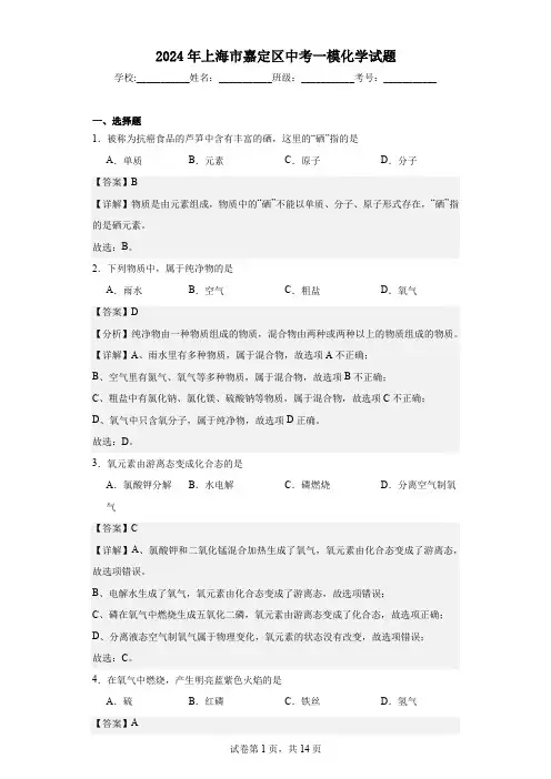 2024年上海市嘉定区中考一模化学试题