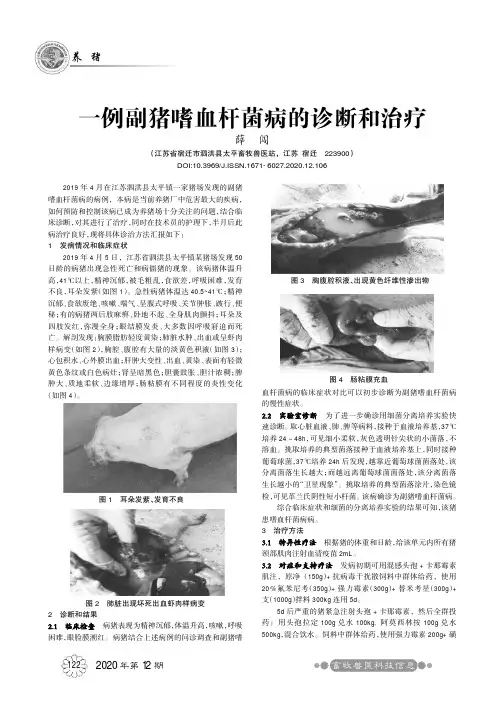 一例副猪嗜血杆菌病的诊断和治疗