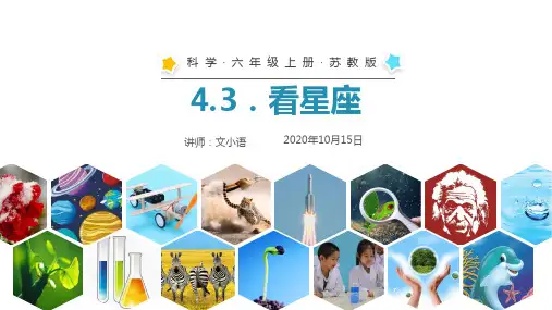 苏教版科学六年级上册课件4.3看星座6PPT-附教案