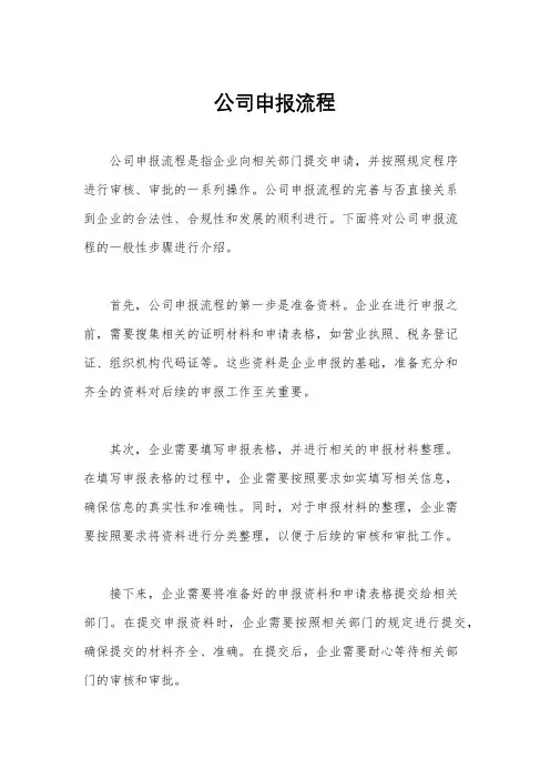 公司申报流程