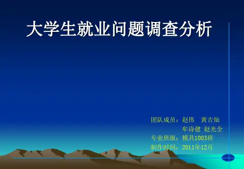 大学生就业调查报告PPT课件