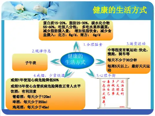 饮食金字塔