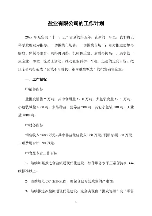 盐业有限公司的工作计划