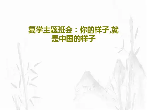 复学主题班会：你的样子,就是中国的样子共28页PPT