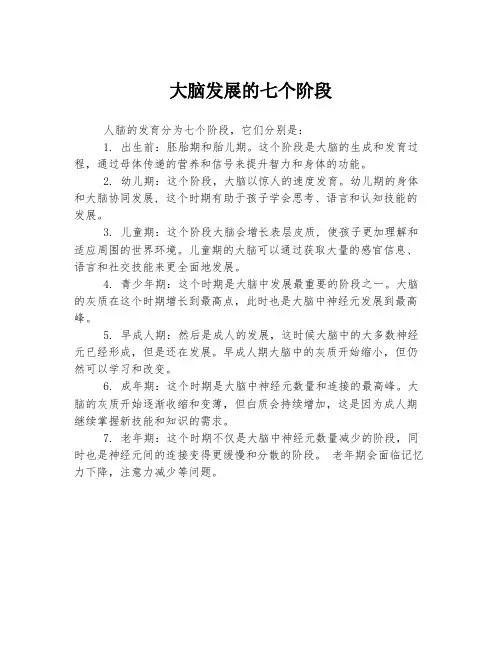 大脑发展的七个阶段