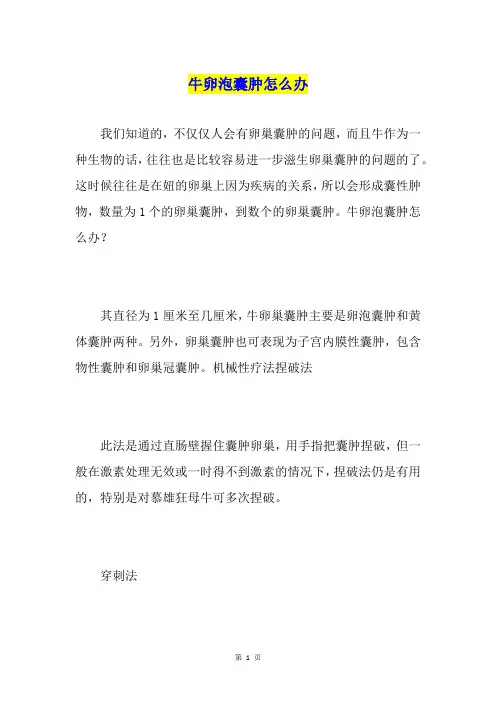 牛卵泡囊肿怎么办