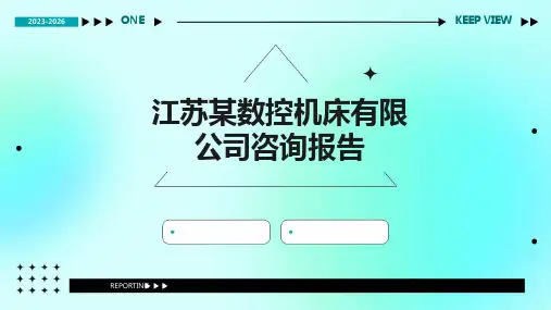 江苏某数控机床有限公司咨询报告