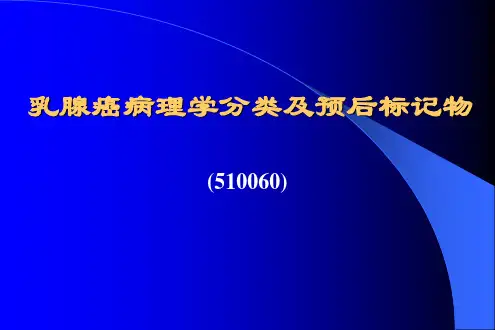 乳腺癌病理学分类及预后标记物演示精品PPT课件