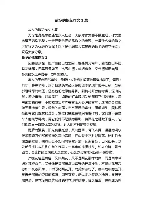 故乡的槐花作文3篇