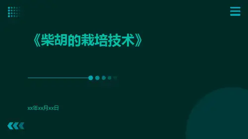 柴胡的栽培技术