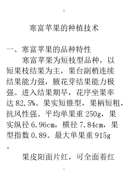 [VIP专享]寒富苹果的种植技术