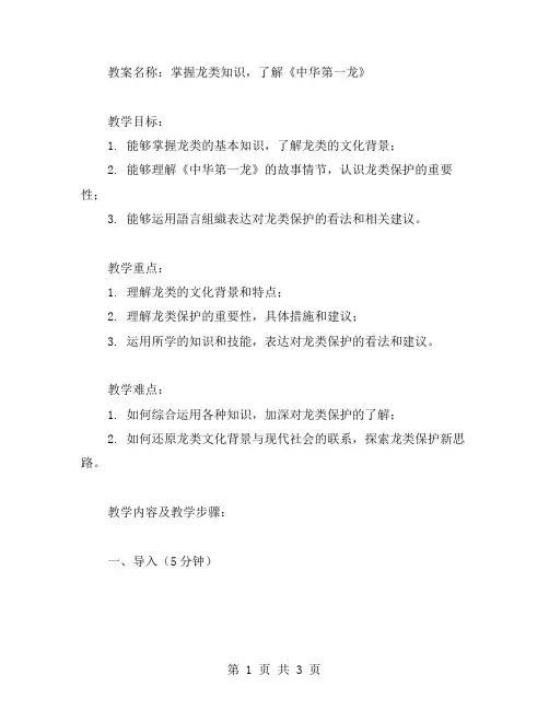 以《中华第一龙》为素材,编写能力提升教案