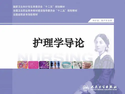 护理支持性理论