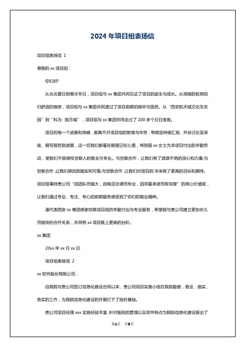 2024年项目组表扬信