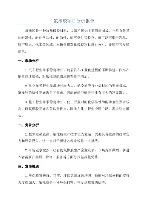 氟橡胶项目分析报告