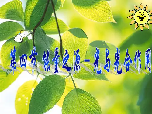 光与光合作用(一轮复习)