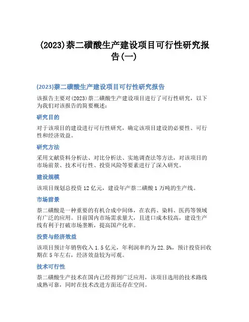 (2023)萘二磺酸生产建设项目可行性研究报告(一)