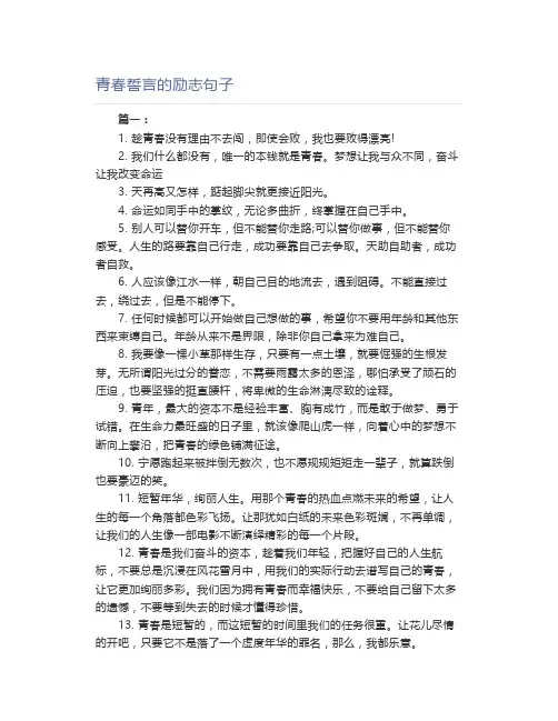 青春誓言的励志句子