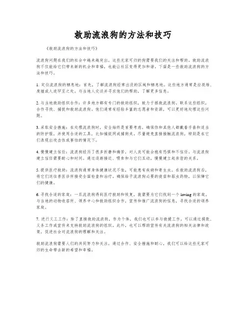 救助流浪狗的方法和技巧