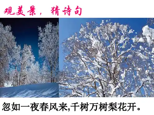诗歌鉴赏--景物描写