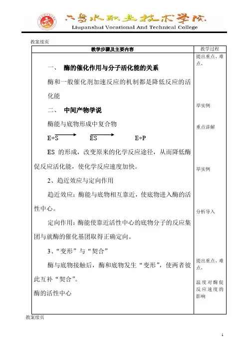 酶催化机理