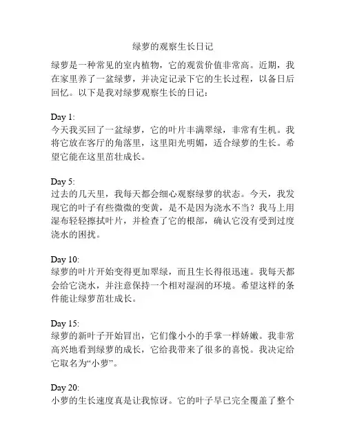 绿萝的观察生长日记