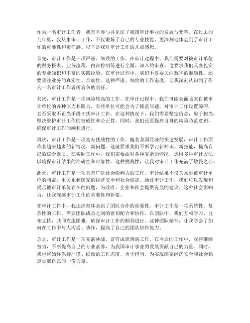 审计工作_感想
