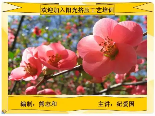 挤压培训文稿
