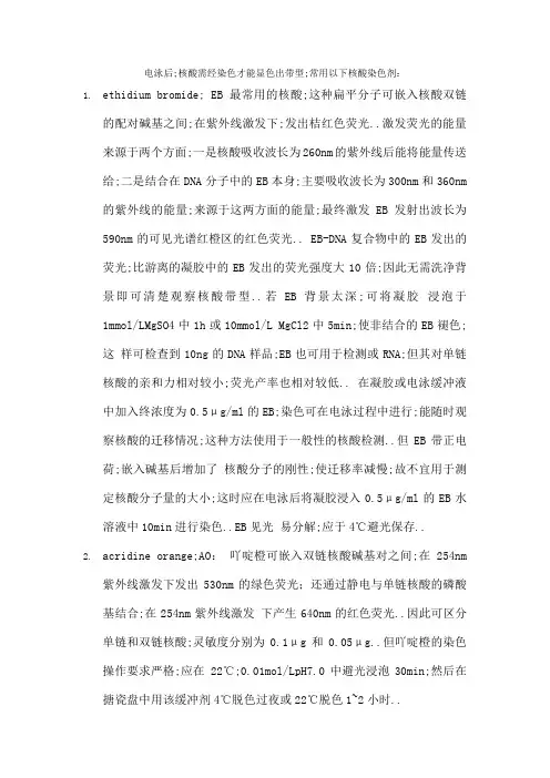 核酸染色剂