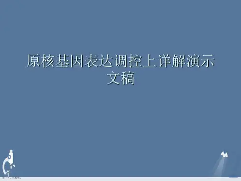 原核基因表达调控上详解演示文稿