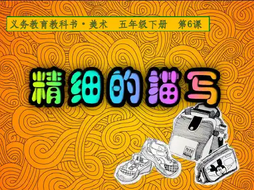 精细的描写PPT课件