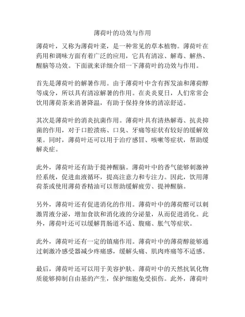 薄荷叶的功效与作用