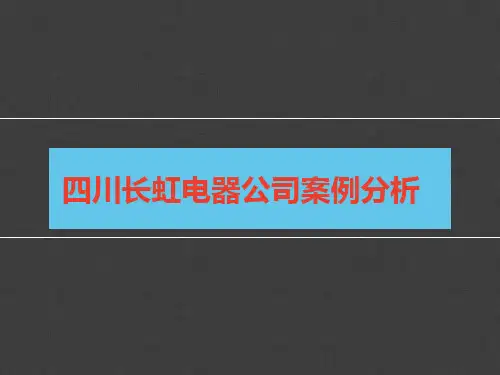 长虹电器公司案例分析