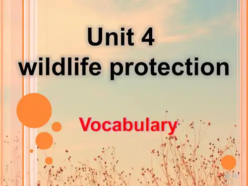 人教版高中英语必修二unit4词汇讲解(共24张PPT)