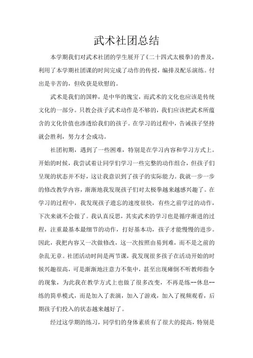 武术 社团总结