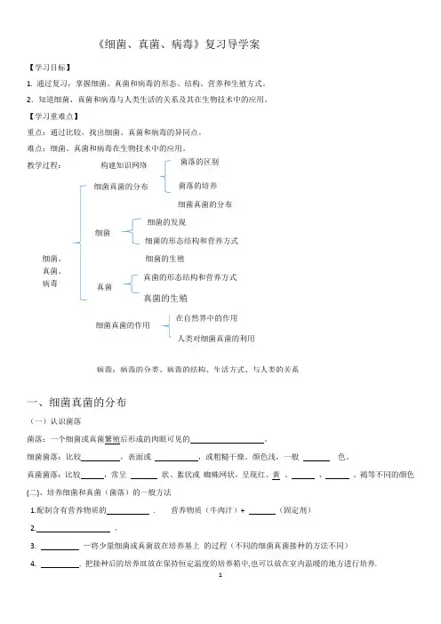2023年生物中考一轮复习导学案：细菌真菌病毒