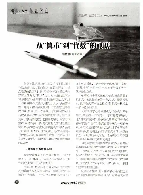 从“算术”到“代数”的飞跃