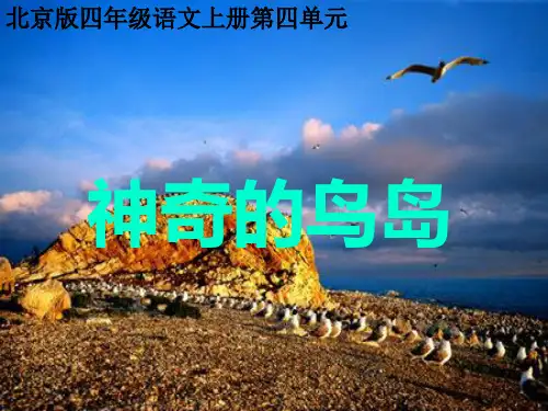 (北京版)四年级语文上册 神奇的鸟岛 2PPT课件
