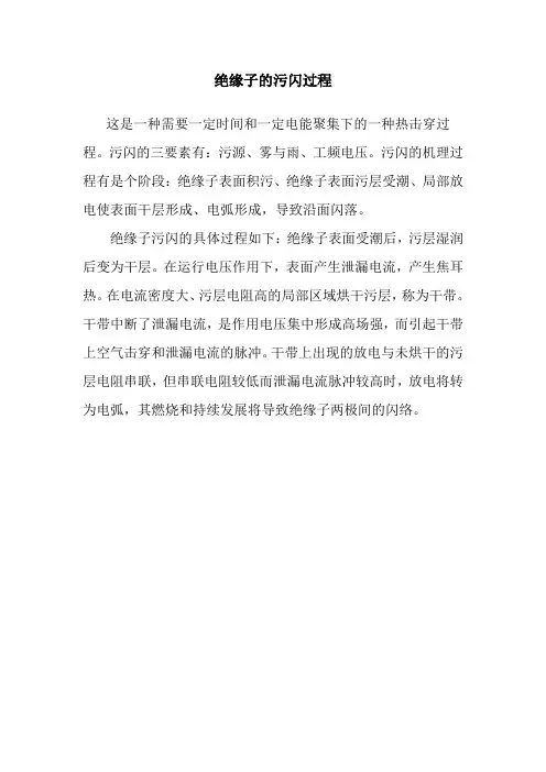 绝缘子的污闪过程