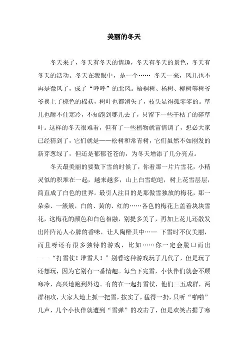 美丽的冬天_15