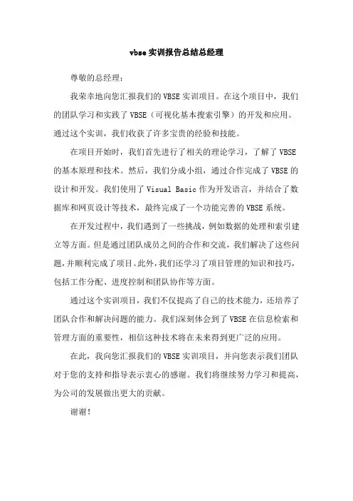 vbse实训报告总结总经理