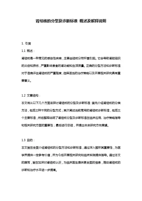 肾结核的分型及诊断标准_概述及解释说明