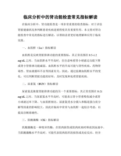 临床分析中的肾功能检查常见指标解读