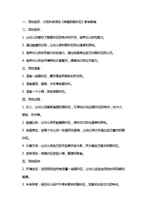大班科学活动《有趣的鹅卵石》教学教案