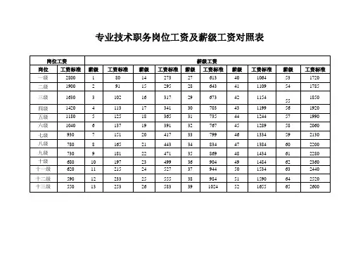 专业技术职务岗位工资及薪级工资对照表