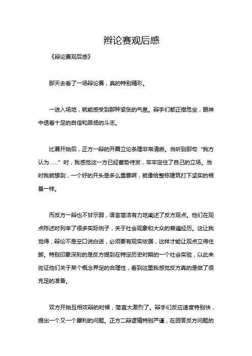 辫论赛观后感