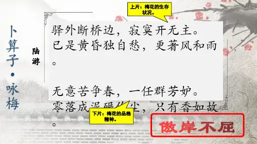 初中语文人教九年级上册清溪初中黄长静——古诗词意象赏析之梅花PPT