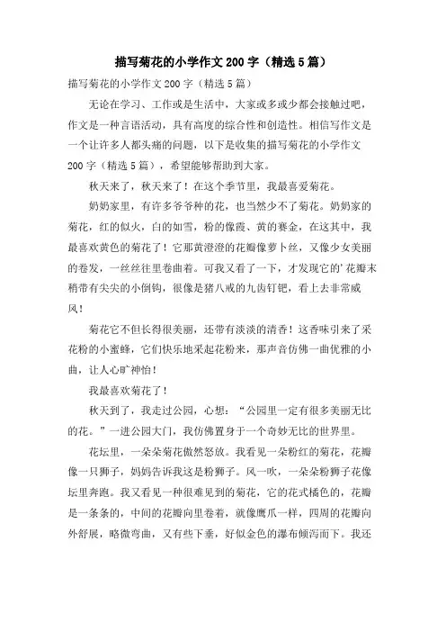 描写菊花的小学作文200字(5篇)