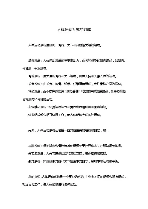 人体运动系统的组成